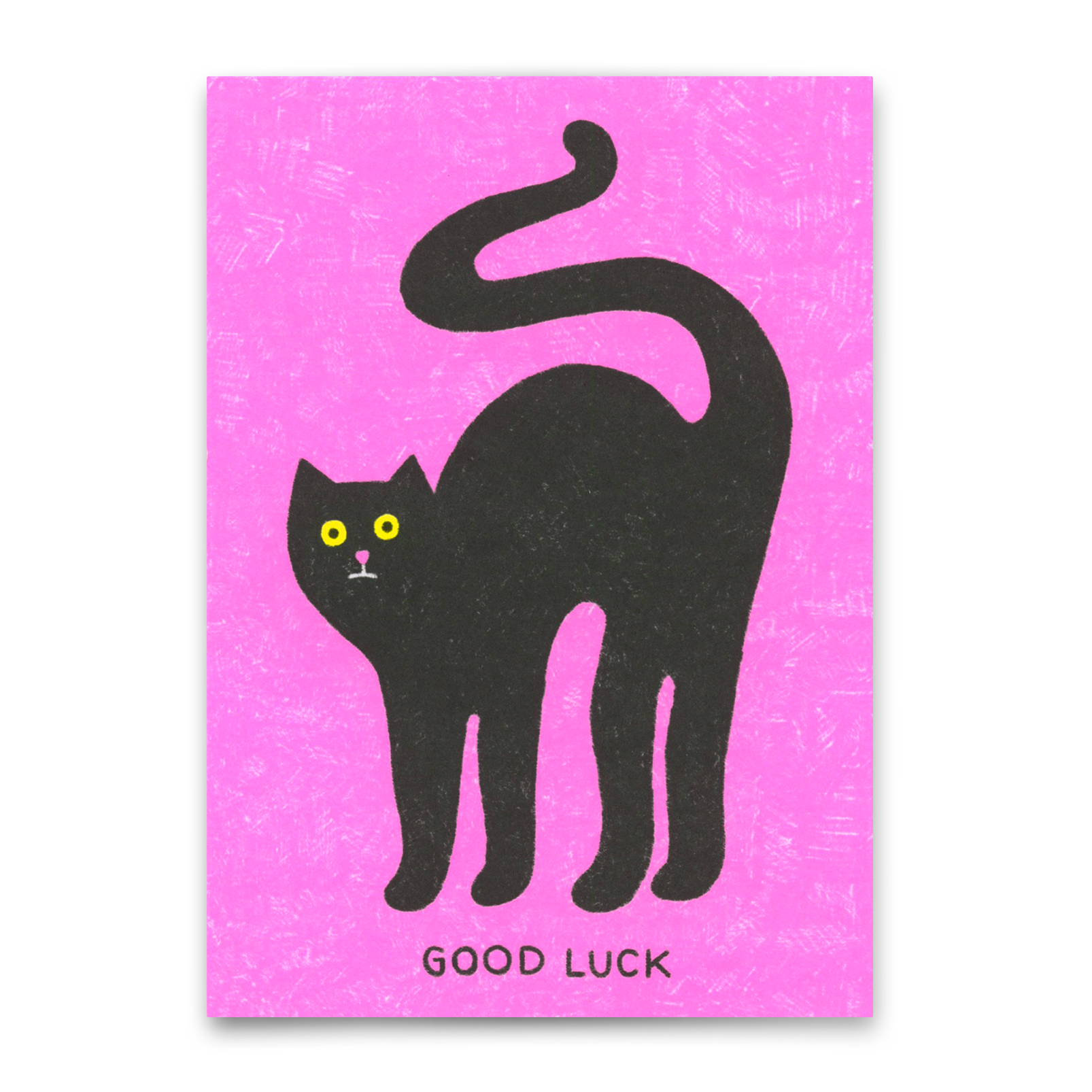 Postcard "Good luck cat" | Special card with cat motif